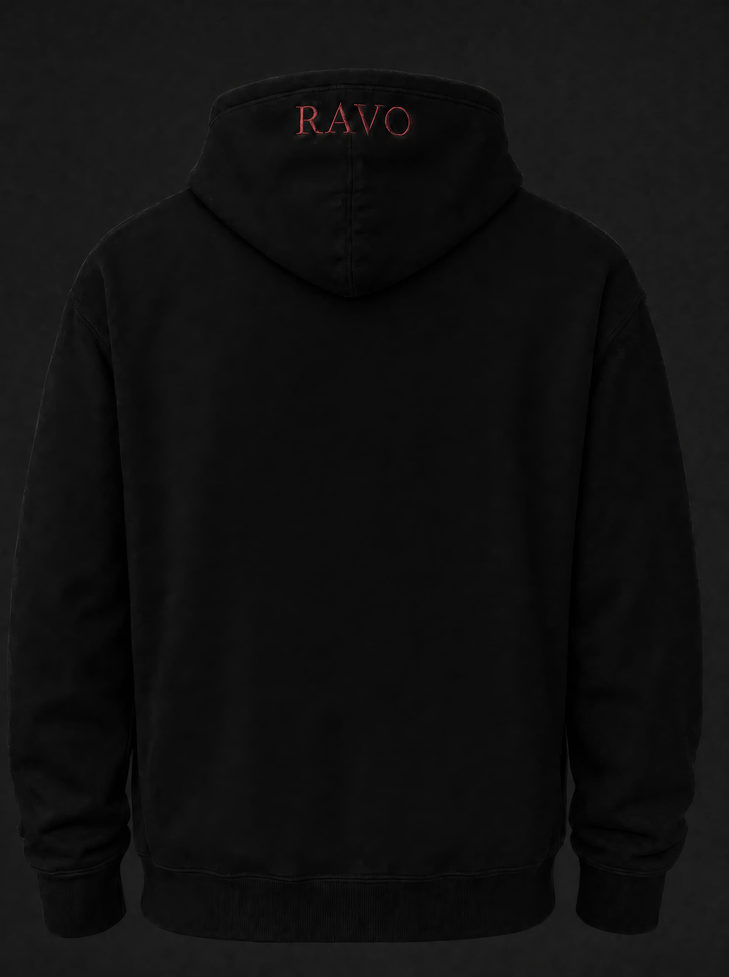 RAVO Embroidered Raven Hoodie — back view, full body